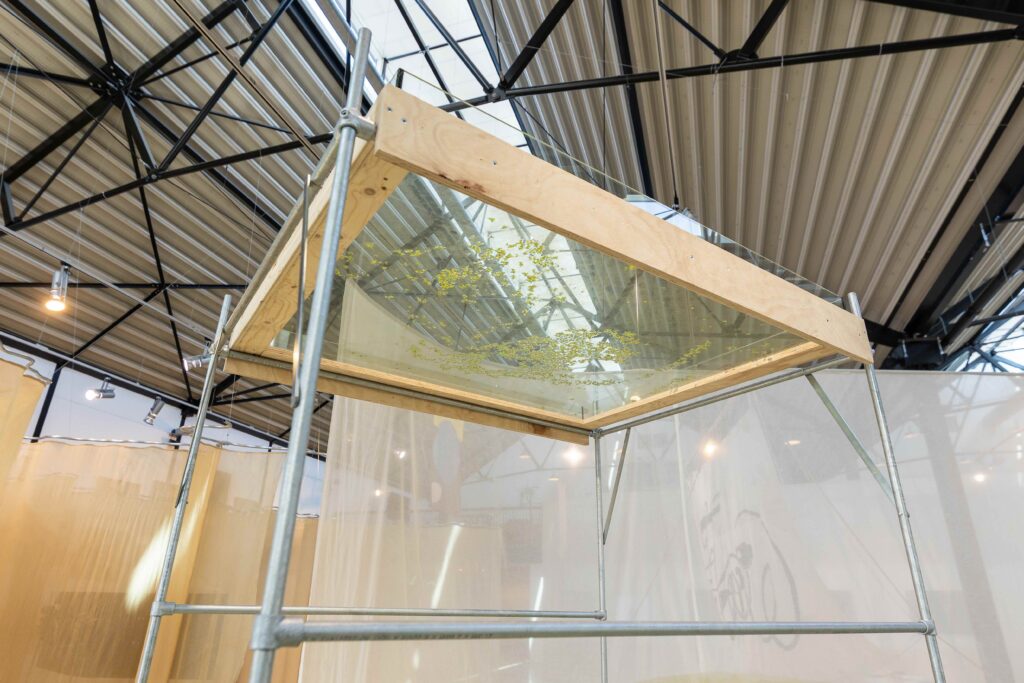 Suzette Bousema, Duckweed (2023) in the exhibition Wild Waters (2026) at Framer Framed, curated by Àngels Miralda. Photo by Maarten Nauw