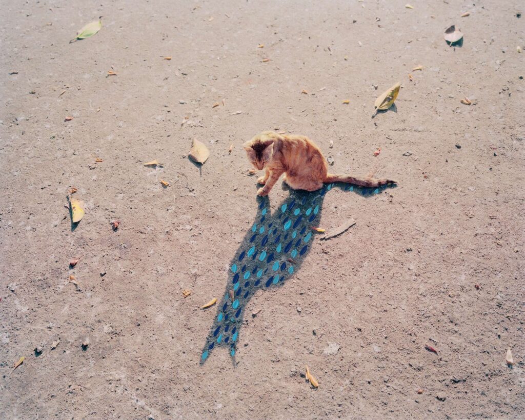 Vasantha Yogananthan, from the "A Myth of Two Souls" project, ©Vasantha Yogananthan
