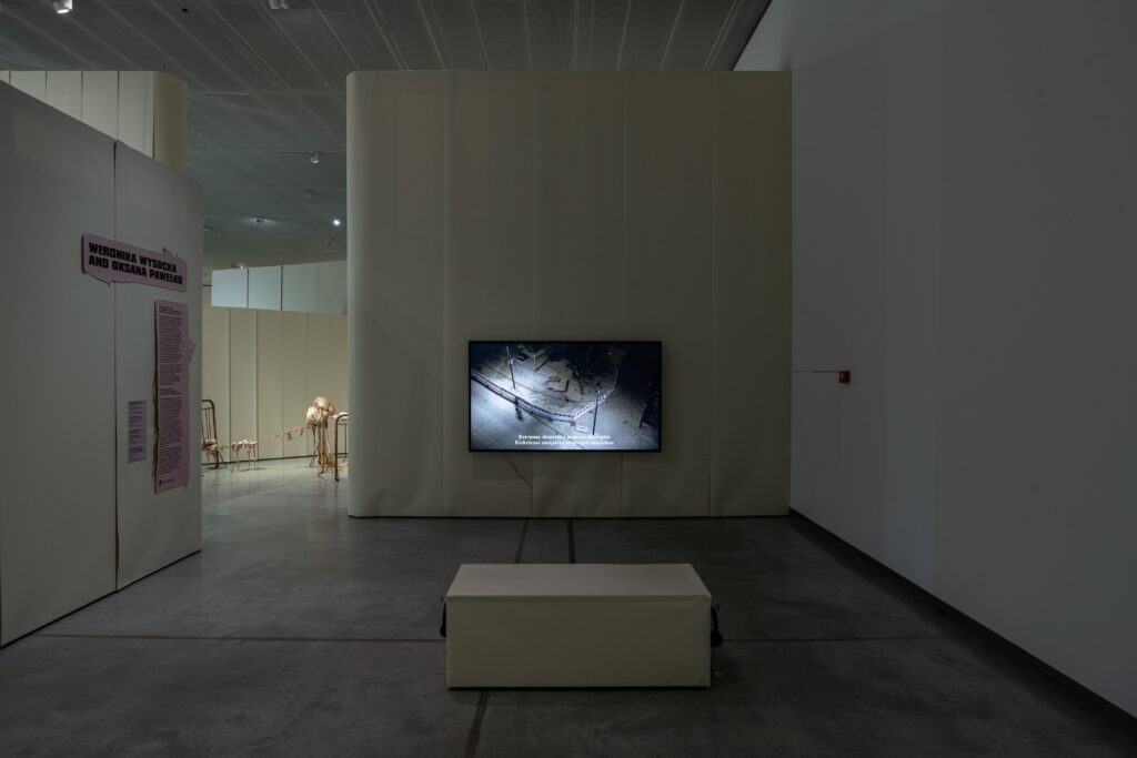 Weronika Wysocka and Oksana Pawełko, Rite Raid Ride, 2024, exhibition view of "Gen Z. All at Once" at MO Museum Vilnius. Photo by Jonas Balsevičius