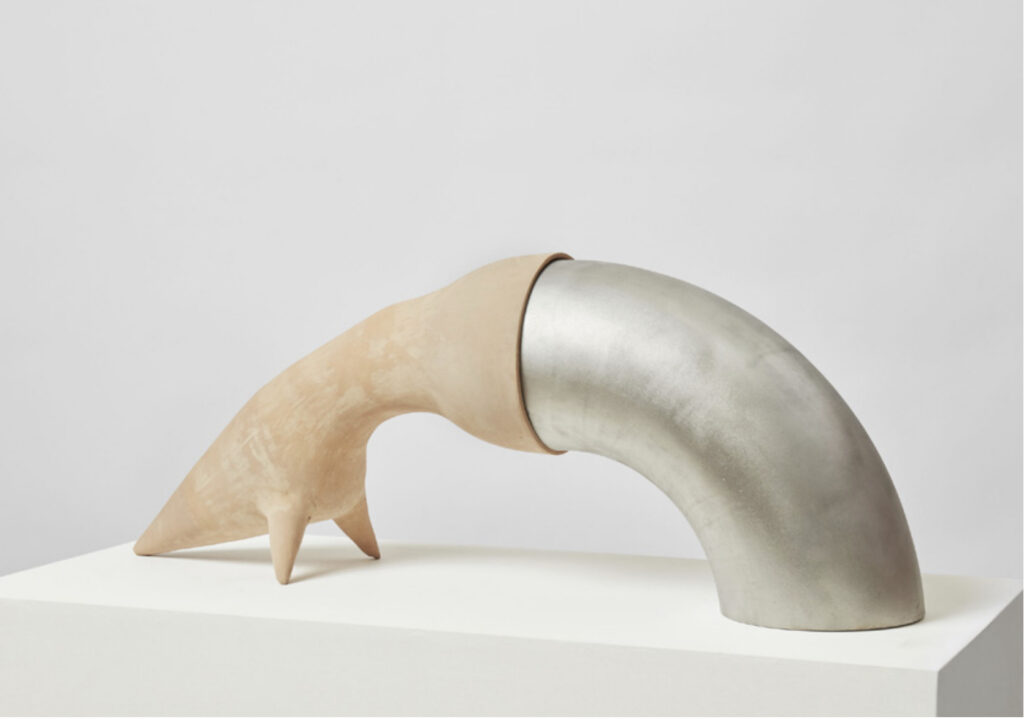 Ximana Garrido-Lecca, Organism V, 2019, stainless steel and ceramic, 38 x 60 x 20 cm. Courtesy of the artist