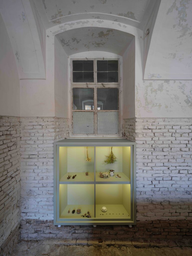 Ștefan Câlția. Transilvania | Extravaganza, installation view. Photo: YAP Studio. Courtesy of YAP Studio and Ștefan Câlția Foundation