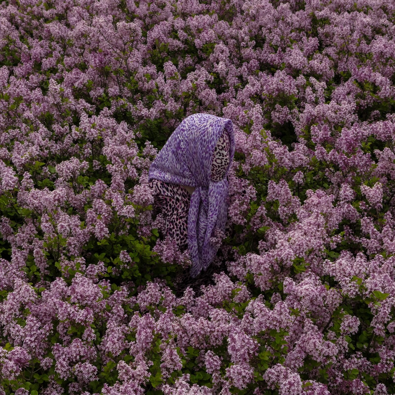 Maurycy Gomulicki, Sea of Purple from the Wild Life series (ed. 1_5 + 2AP), 2025, pigment print on archival paper, dibond, plexi, 120 x 120 cm, courtesy of LETO Gallery
