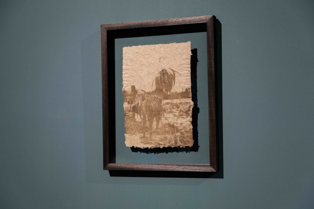 Salmah Almansoori, Of the Palm, 05, 2026, laser engraving on palm handmade paper. Installation view at Maraya Art Centre, Sharjah, 2026.