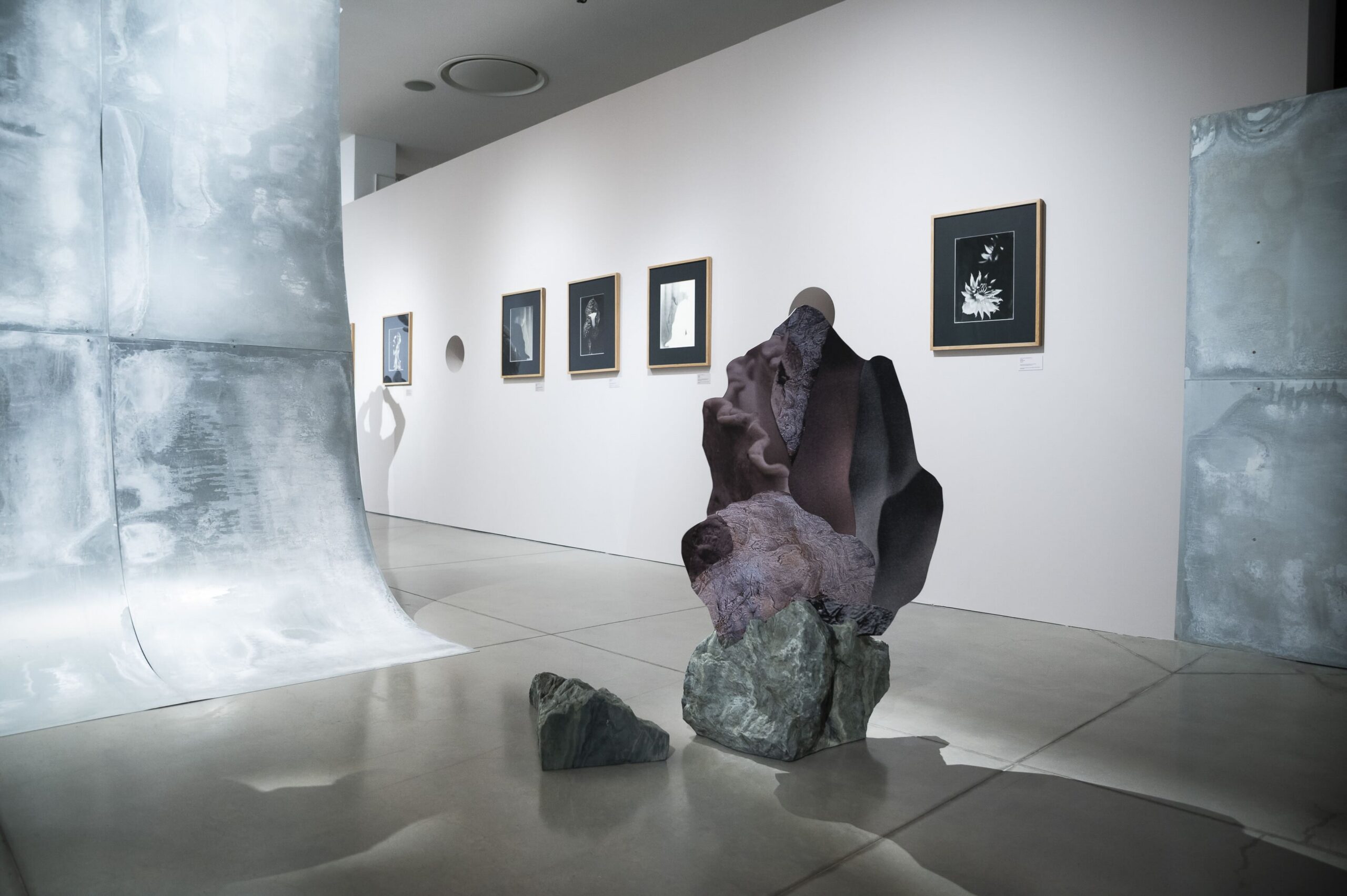 W Ramach Sopotu Photo Festival 2026, Photography at the Intersection of Art and Science Discourses – lecture by Maciej Szymanowicz at PGS Sopot, 12.09.2026. Photo by Anna Bobrowska
