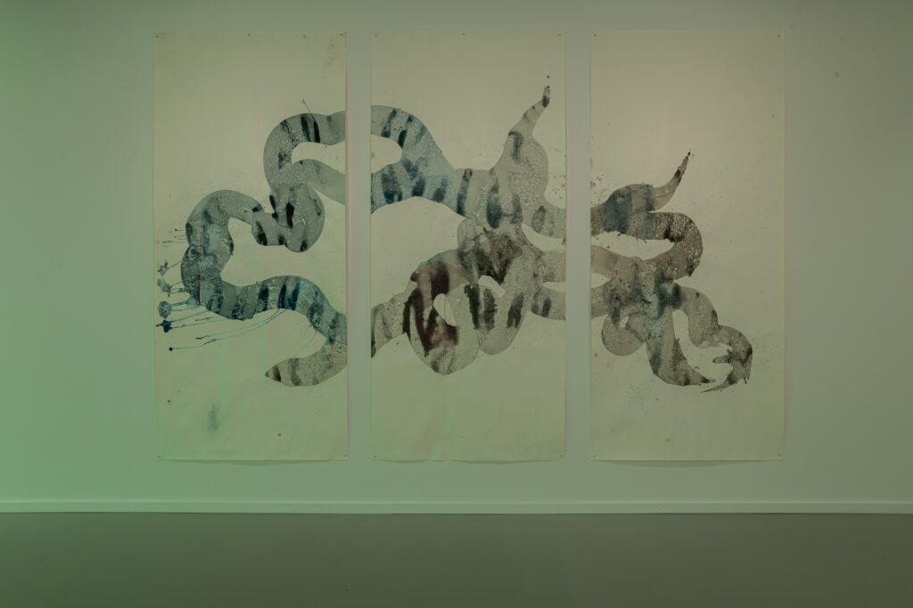 Works by Emilija Škarnulytė. VAA Nida Art Colony, 2026. Photo by Jonas Balsevičius.