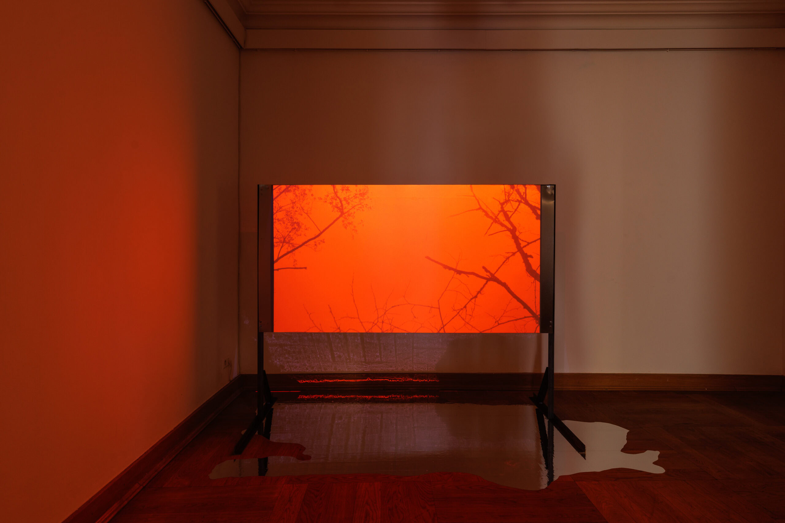 ‘Hidden Narratives’ – exhibition view, Galeria Promocyjna. Photo by Zuzanna Wudarska.
