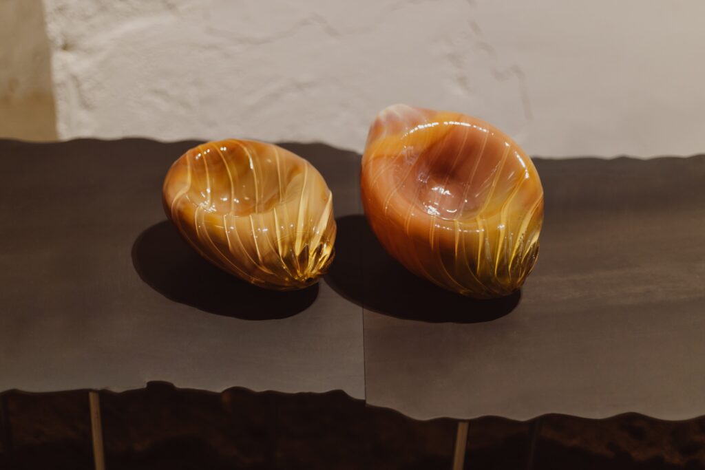 Agnieszka Bar, Seeds, from the series "Vibrating", 2024. View of the exhibition "Crafting Reality" at Pasaje94, Valencia, 12.09–31.10.2026. Photo by Alka Murat