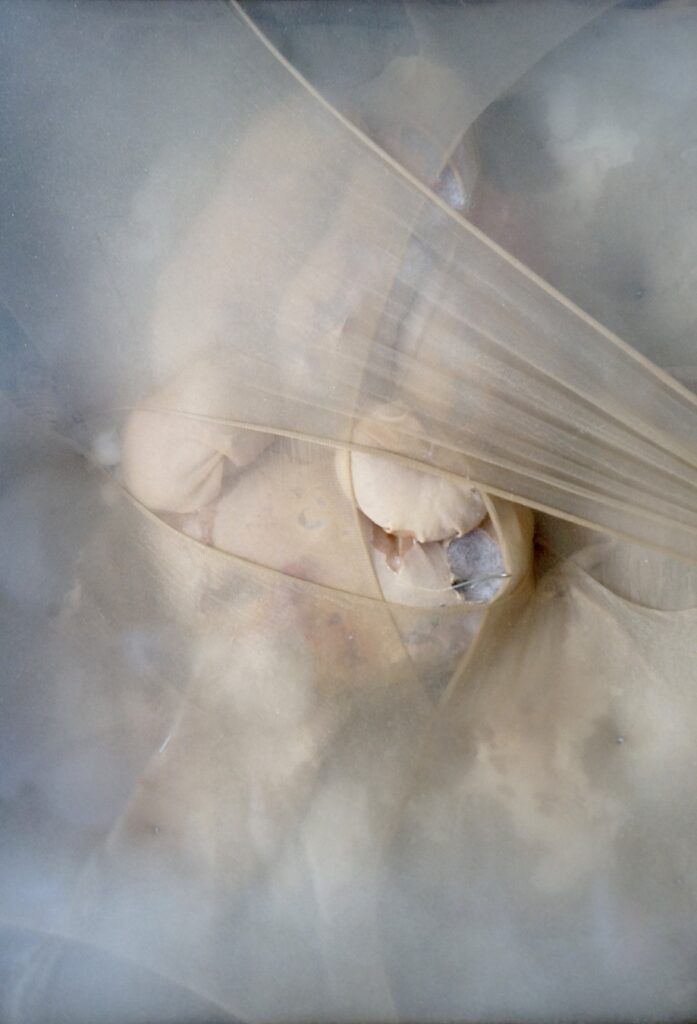 Ziyi Yan, Enfolding, 2026.