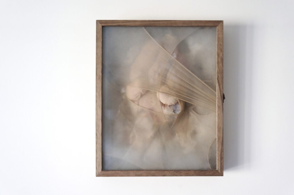 Ziyi Yan, Enfolding, 2026.