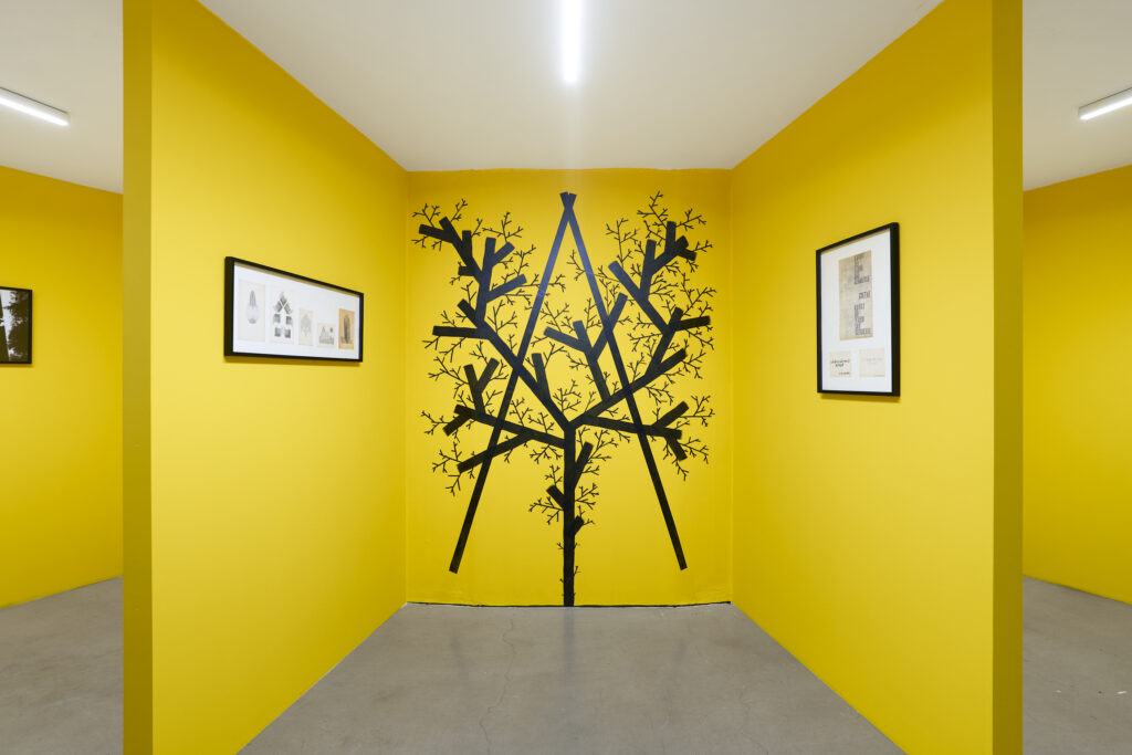 Honza Zamojski. The Adventures of a Person Who Sees, view of the exhibition at Wrocław Contemporary Museum, 2026. Photo by Tomasz Koszewnik