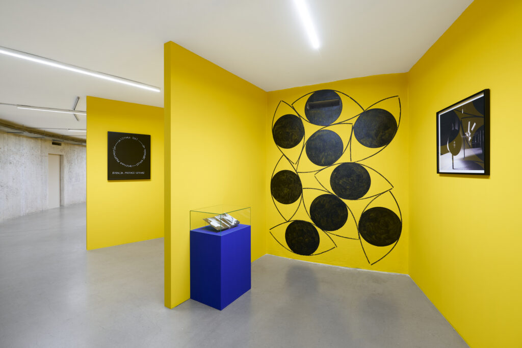 Honza Zamojski. The Adventures of a Person Who Sees, view of the exhibition at Wrocław Contemporary Museum, 2026. Photo by Tomasz Koszewnik