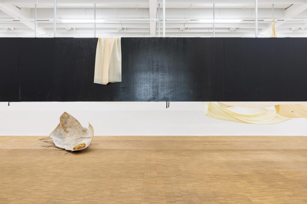 Linda Lach, all keys, all times, view of the exhibition at Salzburger Kunstverein, Salzburg, 2026
