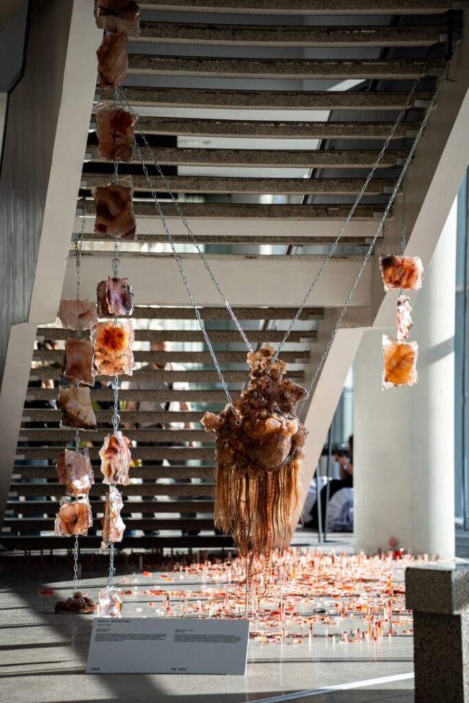 Maria Kulikovska (Ukraine). Installation from ArtVilnius exhibition "The Path". Photo by Augustinas Žukovas