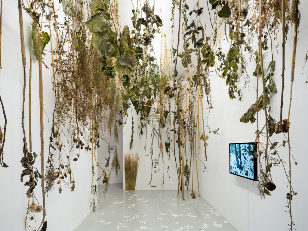 Renata Rara Kamińska, Miedza, 2026. Ewa Partum, Active Poetry, Poem by Ewa, 1971–1973. Collection 49 Nord 6 Est – Frac Lorraine. View of the exhibition "Familiar Strangers. Une Pologne multiple", 49 Nord 6 Est – Frac Lorraine, Metz, 11.09.2026–14.02.2027. Photo by Fred Dott. © ADAGP, Paris, 2026