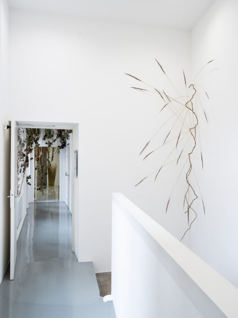 Renata Rara Kamińska, Miedza, 2026. View of the exhibition "Familiar Strangers. Une Pologne multiple", 49 Nord 6 Est – Frac Lorraine, Metz, 11.09.2026–14.02.2027. Photo by Fred Dott.
