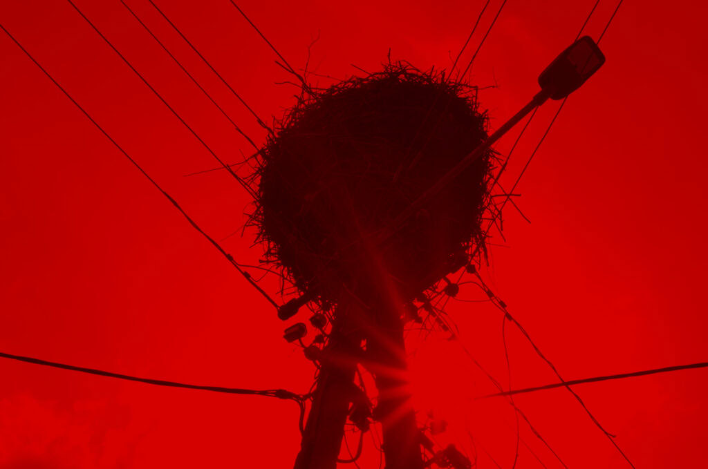 Yuliya Tsviatkova, In the animal's skin, 2025, film still, courtesy of the artist